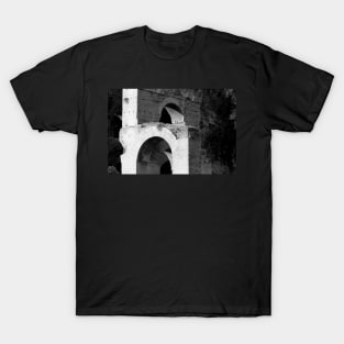 Arches Palatine Hill Rome T-Shirt